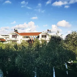 Kasa Daire Dıraç